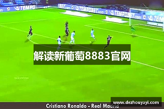 解读新葡萄8883官网